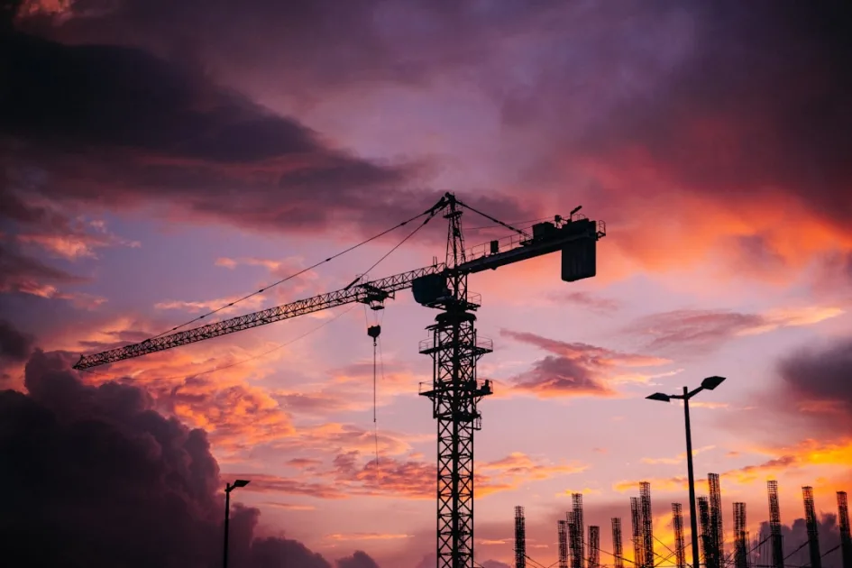 a crane is silhouetted against a sunset sky